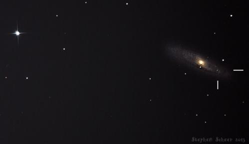 La supernovae SN 2013AM dans la galaxie M65 (Photo Stephen Scheer)