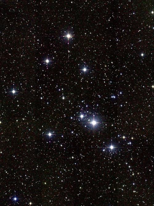 Messier 41 (image Google)