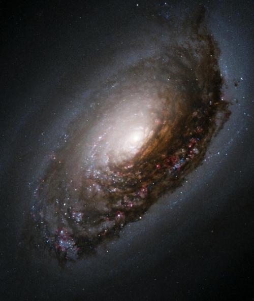 Messier 64 (image Hubble)