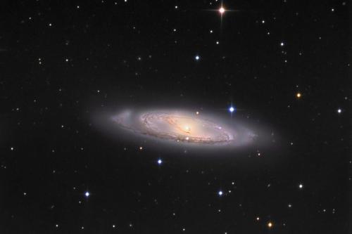 Messier 65 (image Volker Wendel)